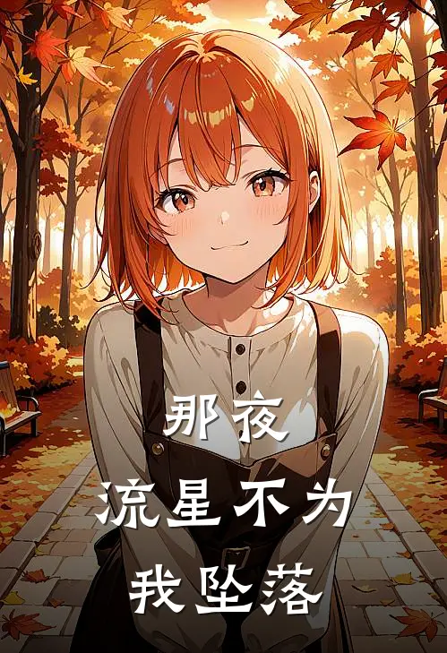 那夜，流星不为我坠落