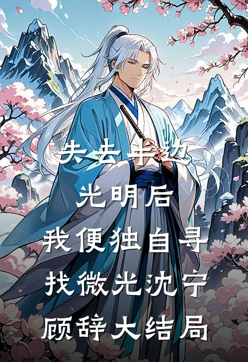 失去半边光明后，我便独自寻找微光沈宁顾辞大结局