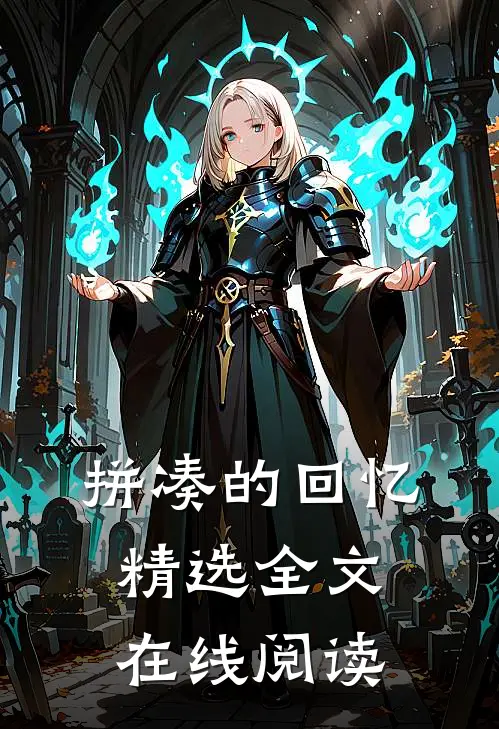 拼凑的回忆精选全文在线阅读