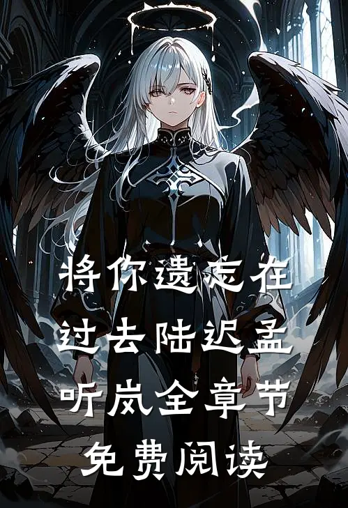 将你遗忘在过去陆迟孟听岚全章节免费阅读