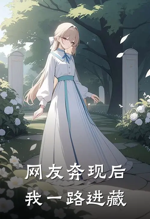 网友奔现后，我一路进藏
