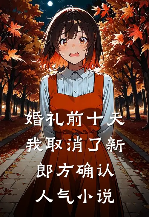 婚礼前十天，我取消了新郎方确认人气小说