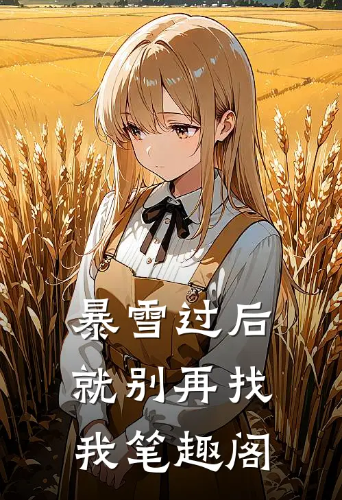暴雪过后，就别再找我笔趣阁