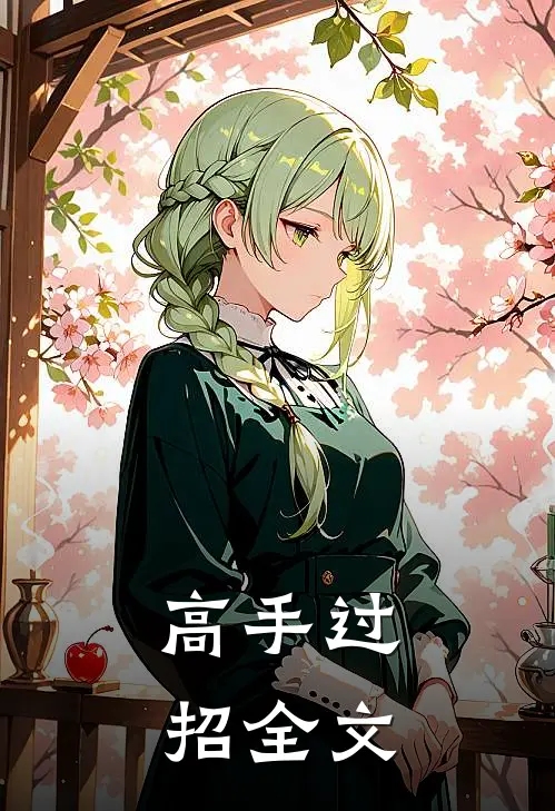 高手过招全文