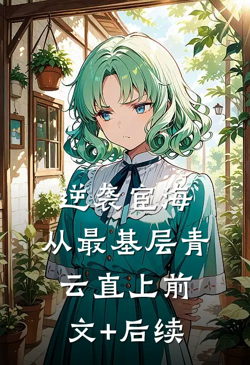 逆袭宦海：从最基层青云直上前文+后续