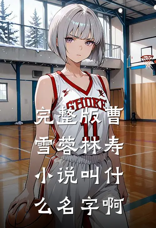 完整版曹雪蓉林寿小说叫什么名字啊