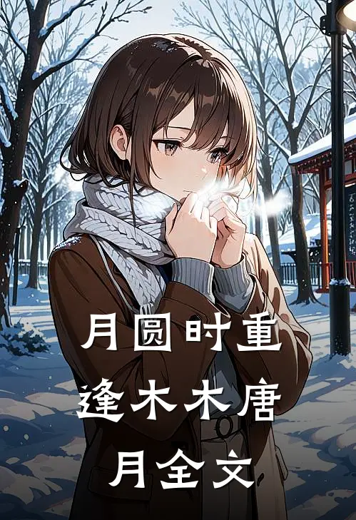 月圆时重逢木木唐月全文