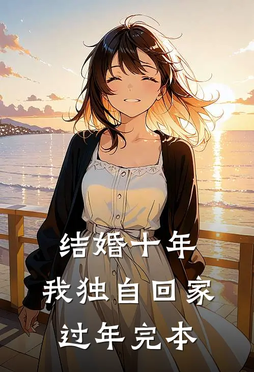 结婚十年，我独自回家过年完本