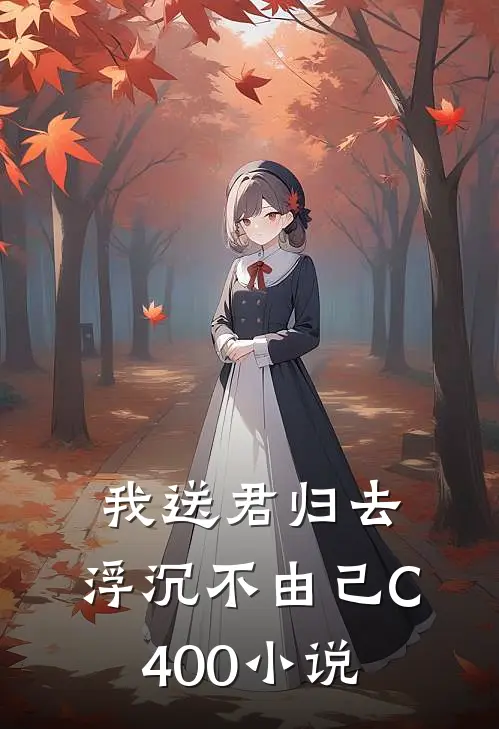 我送君归去，浮沉不由己C400小说