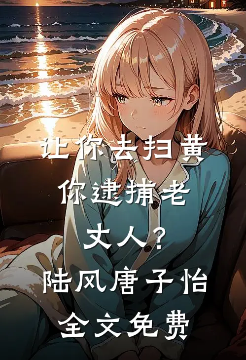 让你去扫黄，你逮捕老丈人？陆风唐子怡全文免费