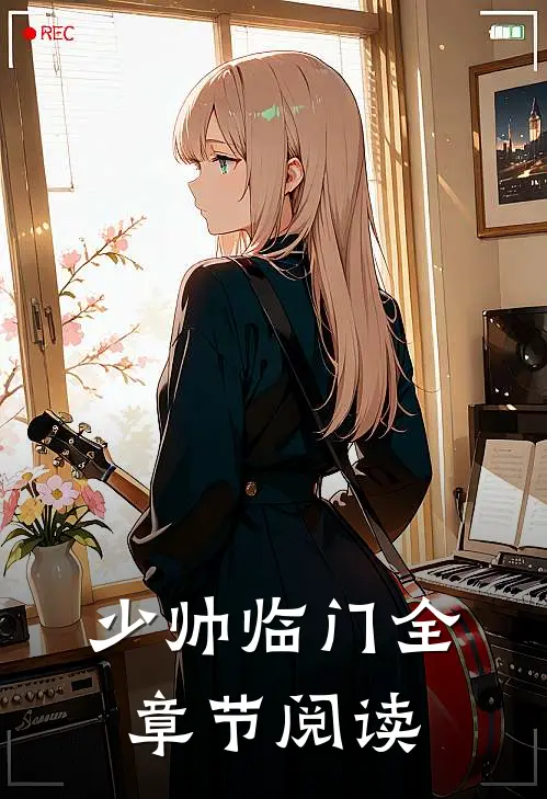 少帅临门全章节阅读