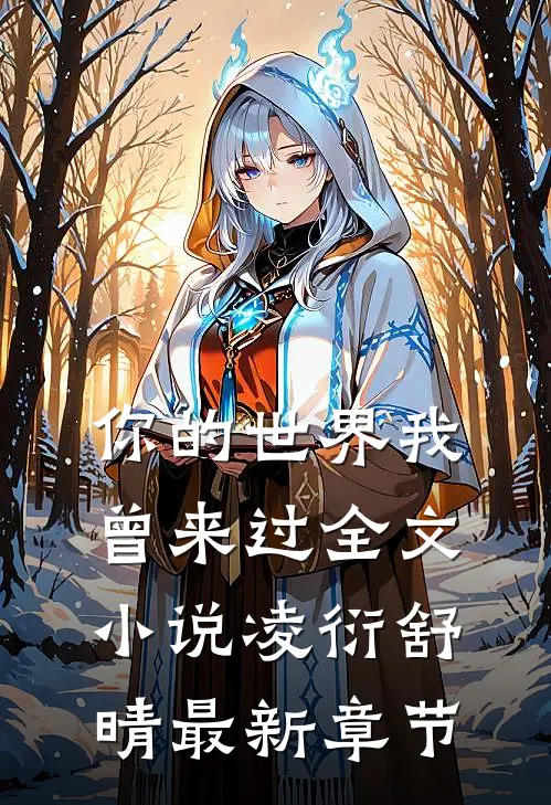 你的世界我曾来过全文小说凌衍舒晴最新章节