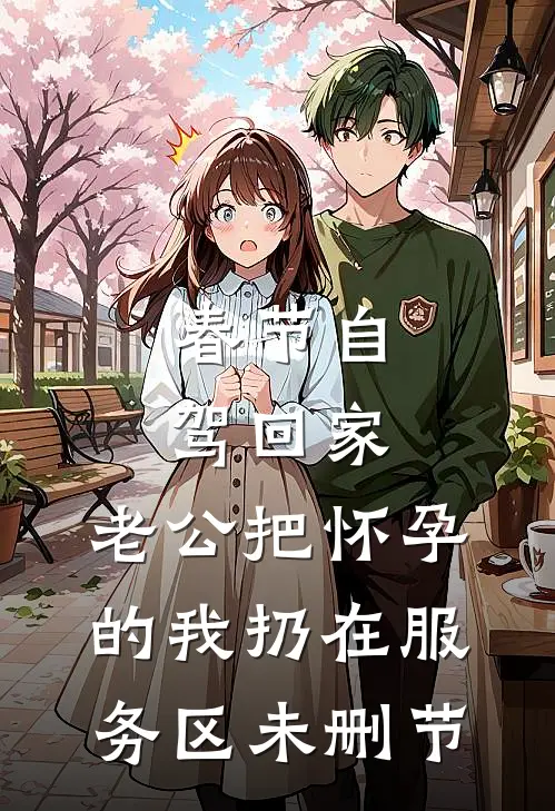 春节自驾回家，老公把怀孕的我扔在服务区未删节