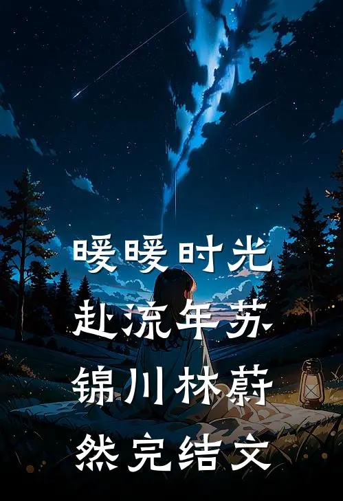 暖暖时光赴流年苏锦川林蔚然完结文