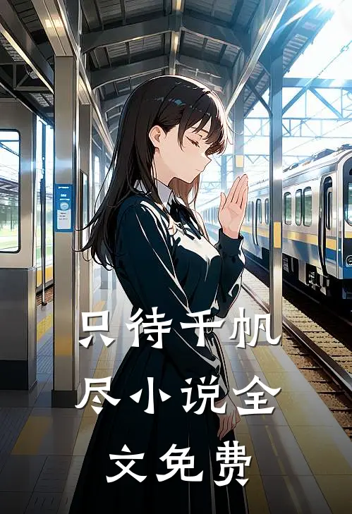 只待千帆尽小说全文免费
