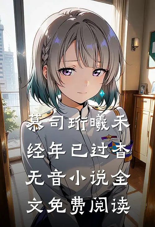 慕司珩曦禾经年已过杳无音小说全文免费阅读