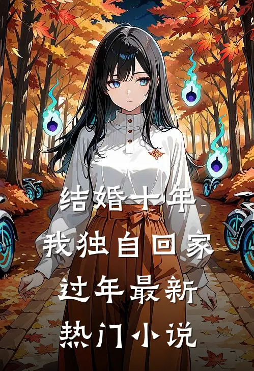 结婚十年，我独自回家过年最新热门小说