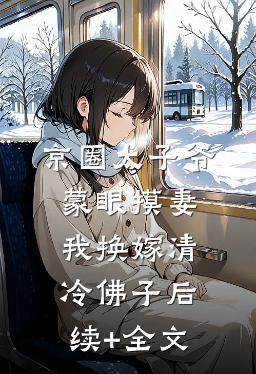 京圈太子爷蒙眼摸妻，我换嫁清冷佛子后续+全文