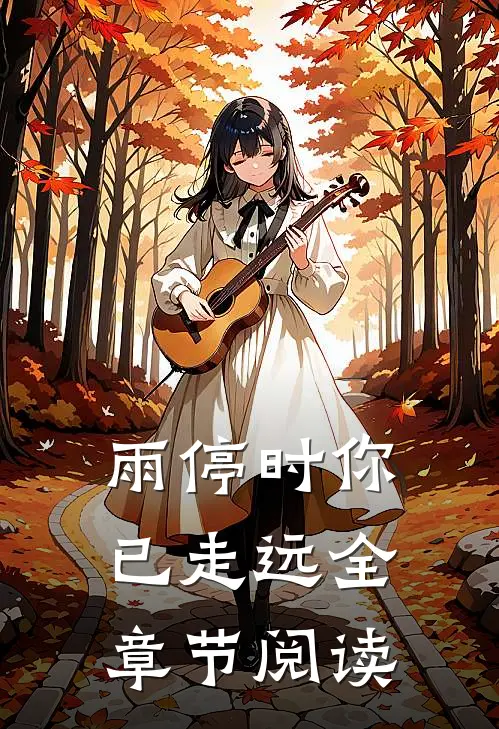 雨停时你已走远全章节阅读