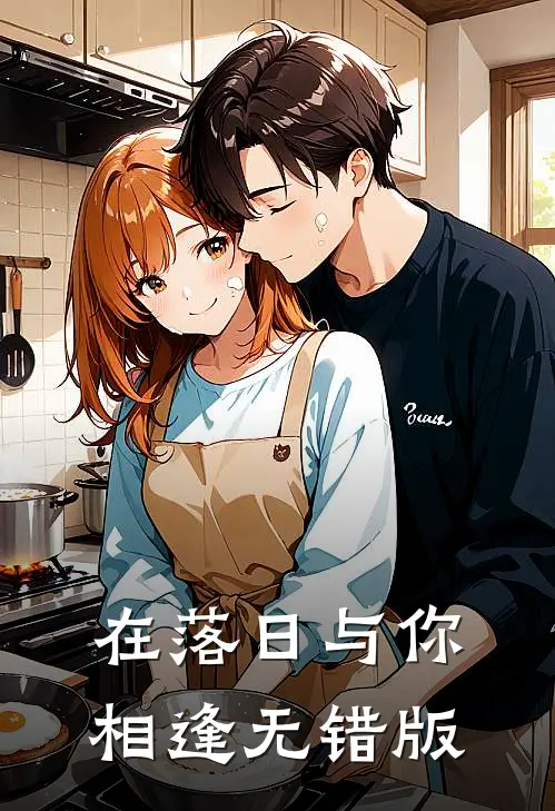 在落日与你相逢无错版