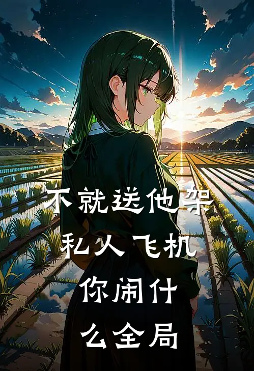 不就送他架私人飞机，你闹什么全局