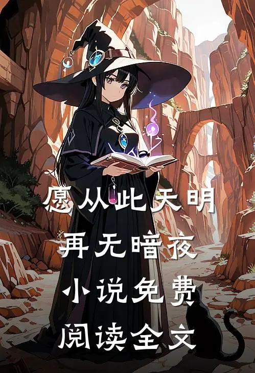 愿从此天明再无暗夜小说免费阅读全文