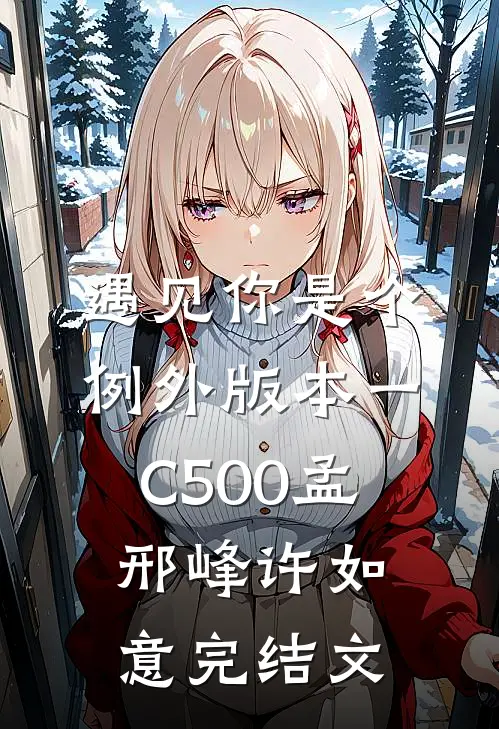 遇见你是个例外 版本一C500孟邢峰许如意完结文