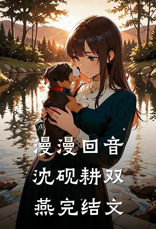 漫漫回音沈砚耕双燕完结文