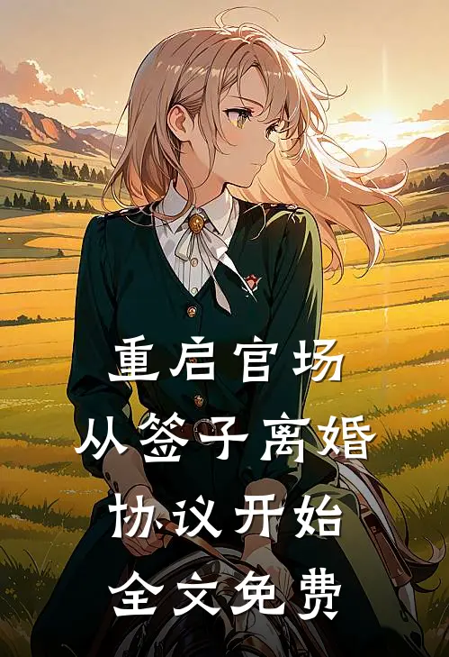 重启官场：从签子离婚协议开始全文免费