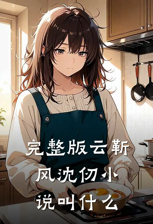 完整版云靳风沈仞小说叫什么