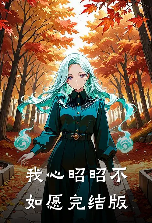 我心昭昭不如愿完结版