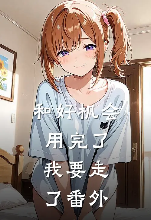 和好机会用完了，我要走了 番外