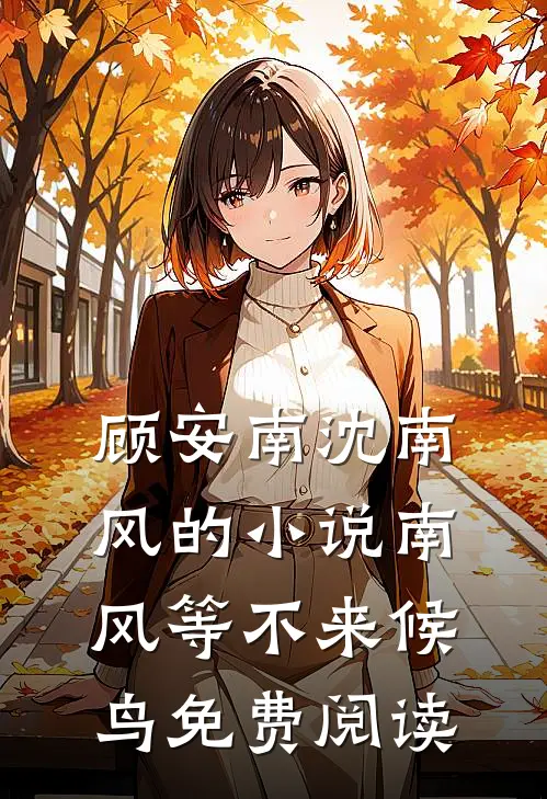 顾安南沈南风的小说南风等不来候鸟免费阅读