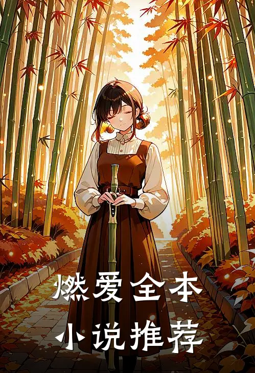 燃爱全本小说推荐