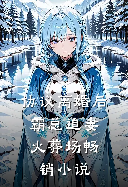 协议离婚后，霸总追妻火葬场畅销小说