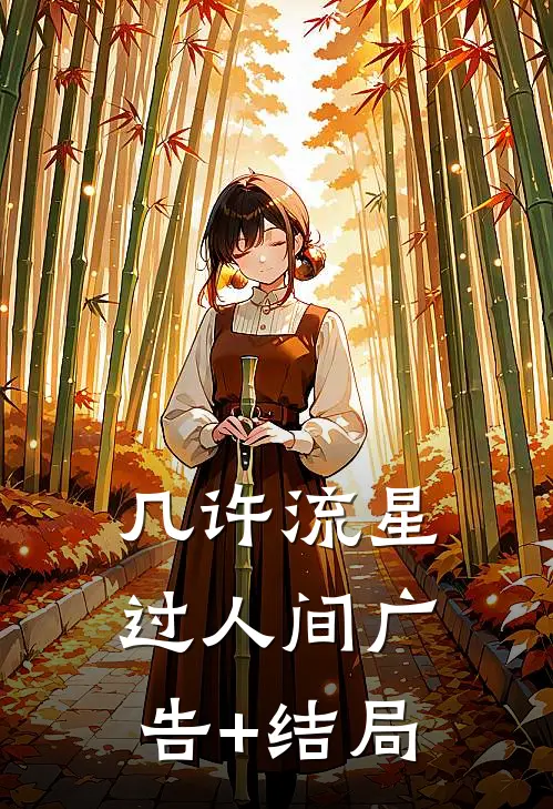 几许流星过人间广告+结局