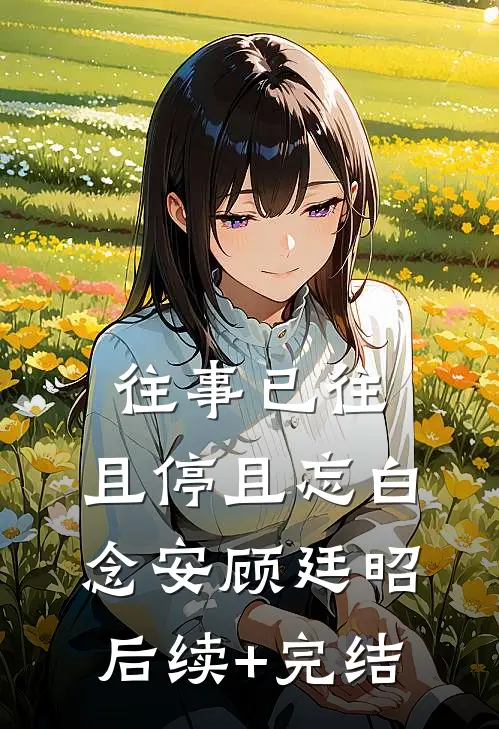 往事已往，且停且忘白念安顾廷昭后续+完结