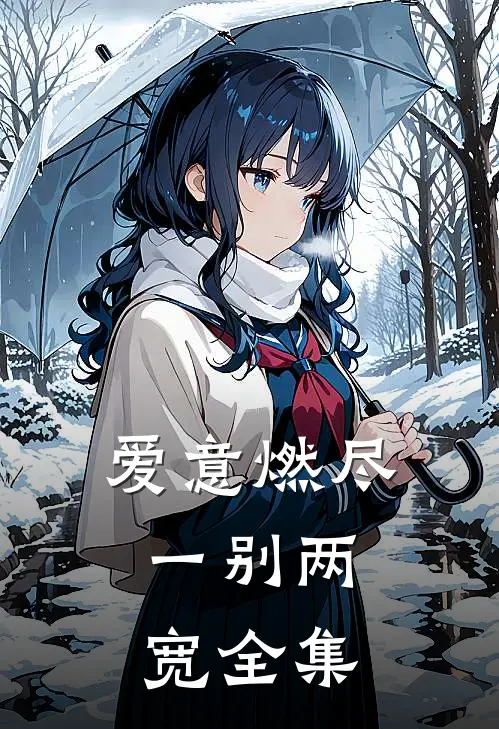 爱意燃尽，一别两宽全集