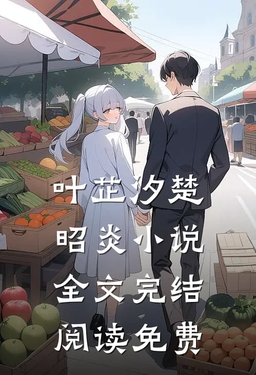 叶芷汐楚昭炎的小说