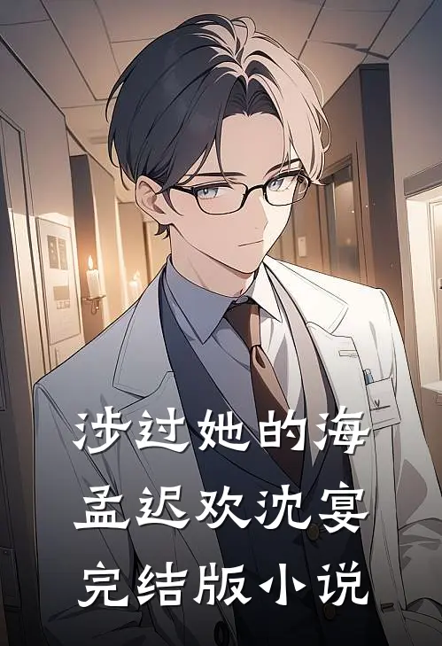 涉过她的海孟迟欢沈宴完结版小说