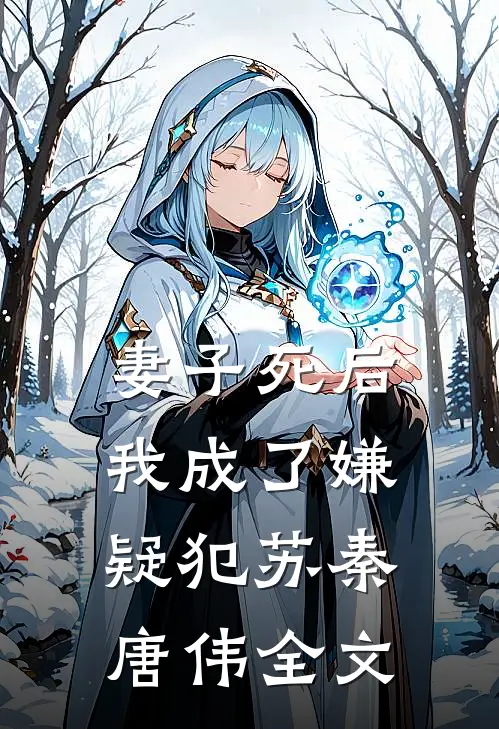 妻子死后，我成了嫌疑犯苏秦唐伟全文