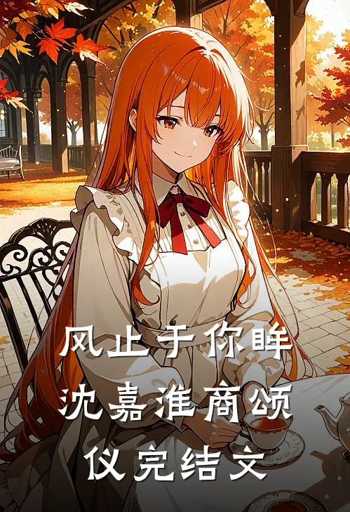 风止于你眸沈嘉淮商颂仪完结文