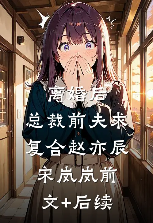 离婚后，总裁前夫求复合赵亦辰宋岚岚前文+后续