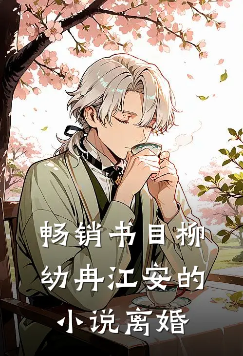 畅销书目柳幼冉江安的小说离婚