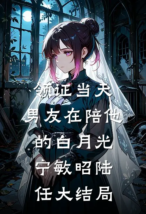 领证当天，男友在陪他的白月光宁敏昭陆任大结局