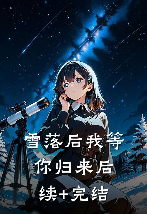 雪落后我等你归来后续+完结
