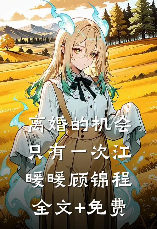 离婚的机会只有一次江暖暖顾锦程全文+免费