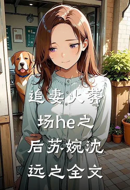 追妻火葬场he之后苏婉沈远之全文