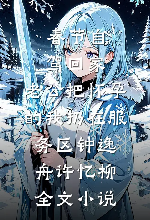 春节自驾回家，老公把怀孕的我扔在服务区钟逸舟许忆柳全文小说