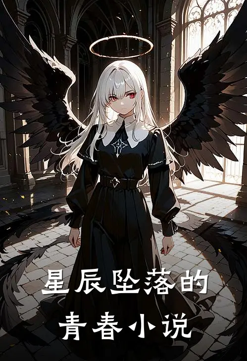 星辰坠落的青春小说